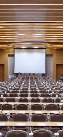 Avra Imperial Hotel amenities business events