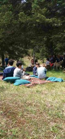 Students enjoy picnic outdoors in nature under the trees