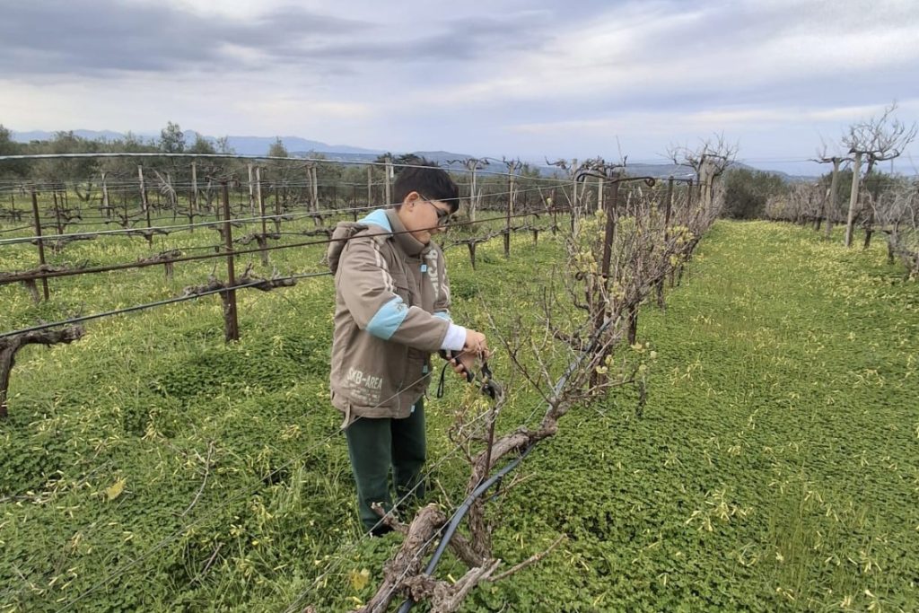 cretan coutryside and wine tasting tour sustainability PA