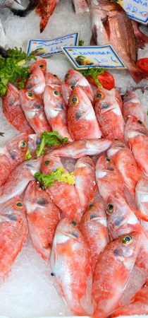 Red fishes in local open market in Heraklion