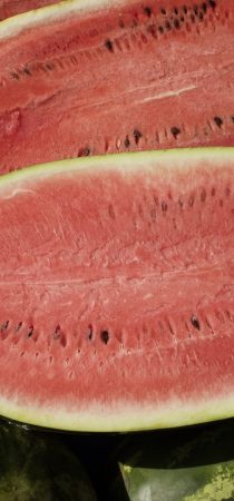 Heraklion open market watermelon