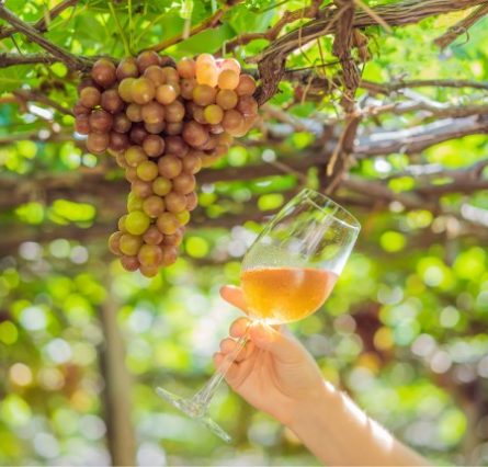 romantic_dining_winery_featured_crete_cv