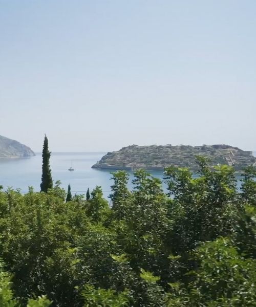 phaea views - https://phaeablue.com/