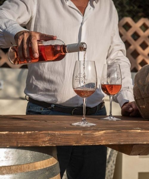Nikos Miliarakis interview winery in crete 2 PE