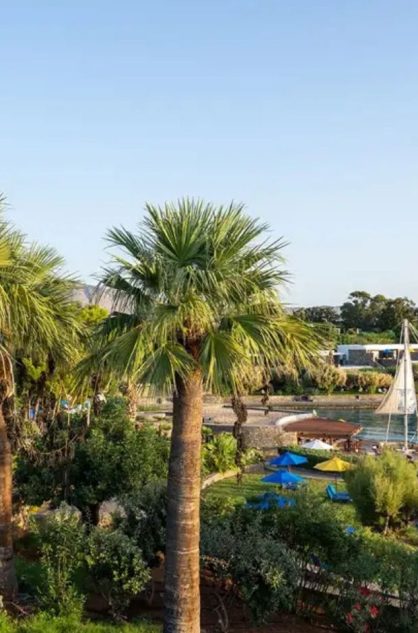 https://www.eloundabay.gr/the-resort