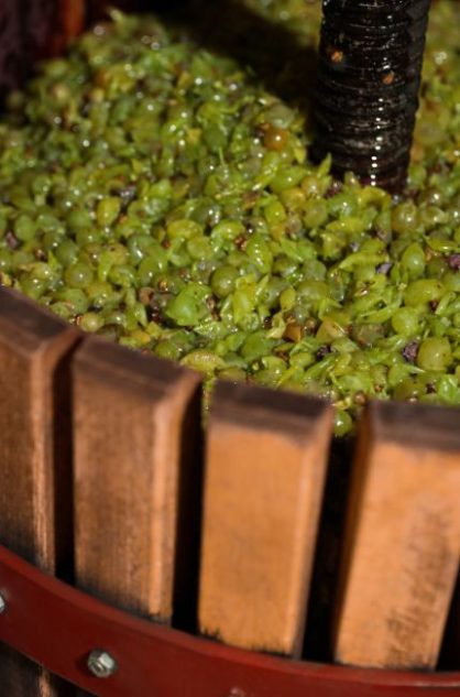 The Art of Raki Grape pressing featured vertical 2 - CV