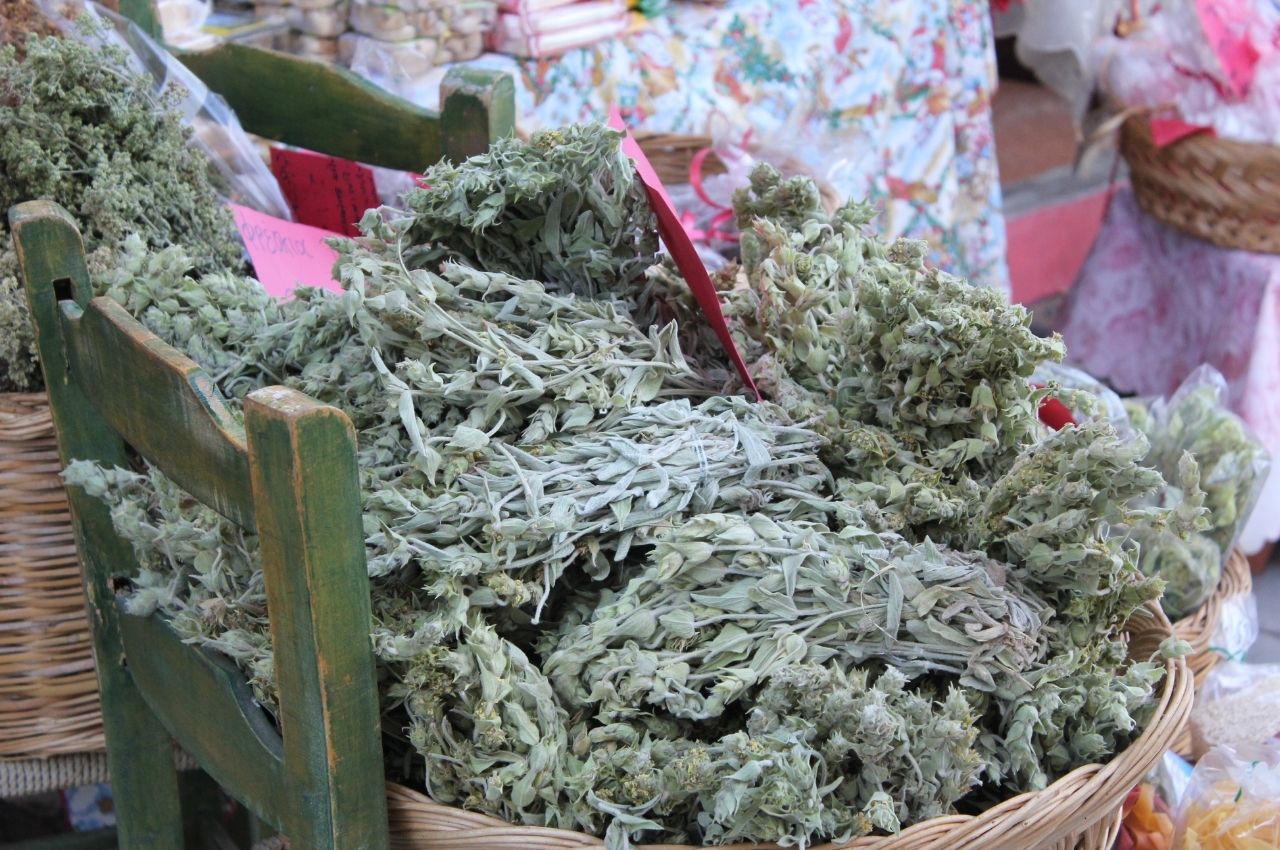 Cretan Herbs and Spices - sage_faskomilo - CV