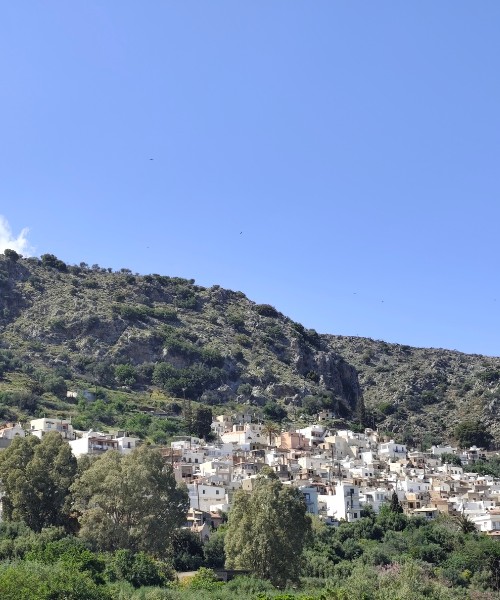 Xhobli Women’s Cooperative in Kritsa showcase 4 - PE